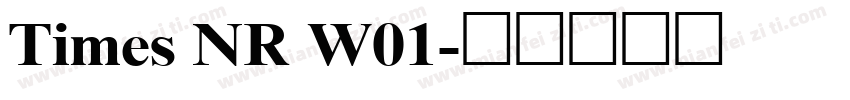 Times NR W01字体转换
